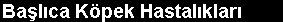 k3.jpg (4665 bytes)