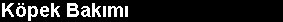 k4.jpg (2792 bytes)