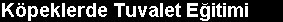k5.jpg (4636 bytes)
